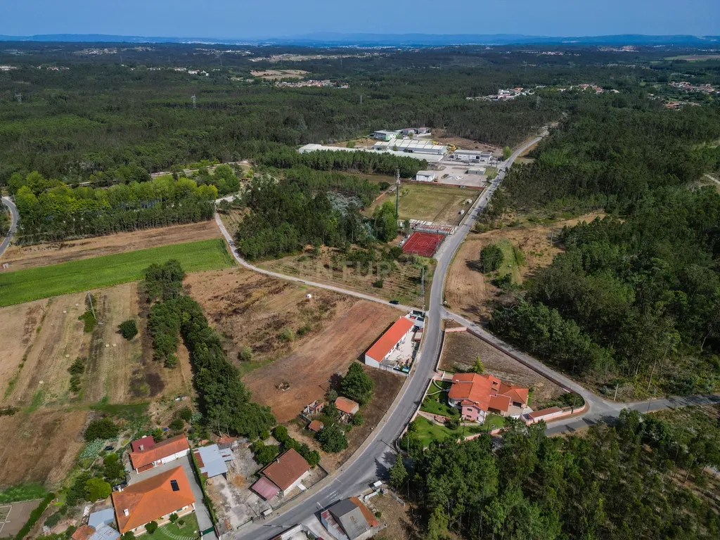 Terreno com viabilidade de construção em Queridas, Ferreira-a-Nova, Figueira da Foz - Image 8