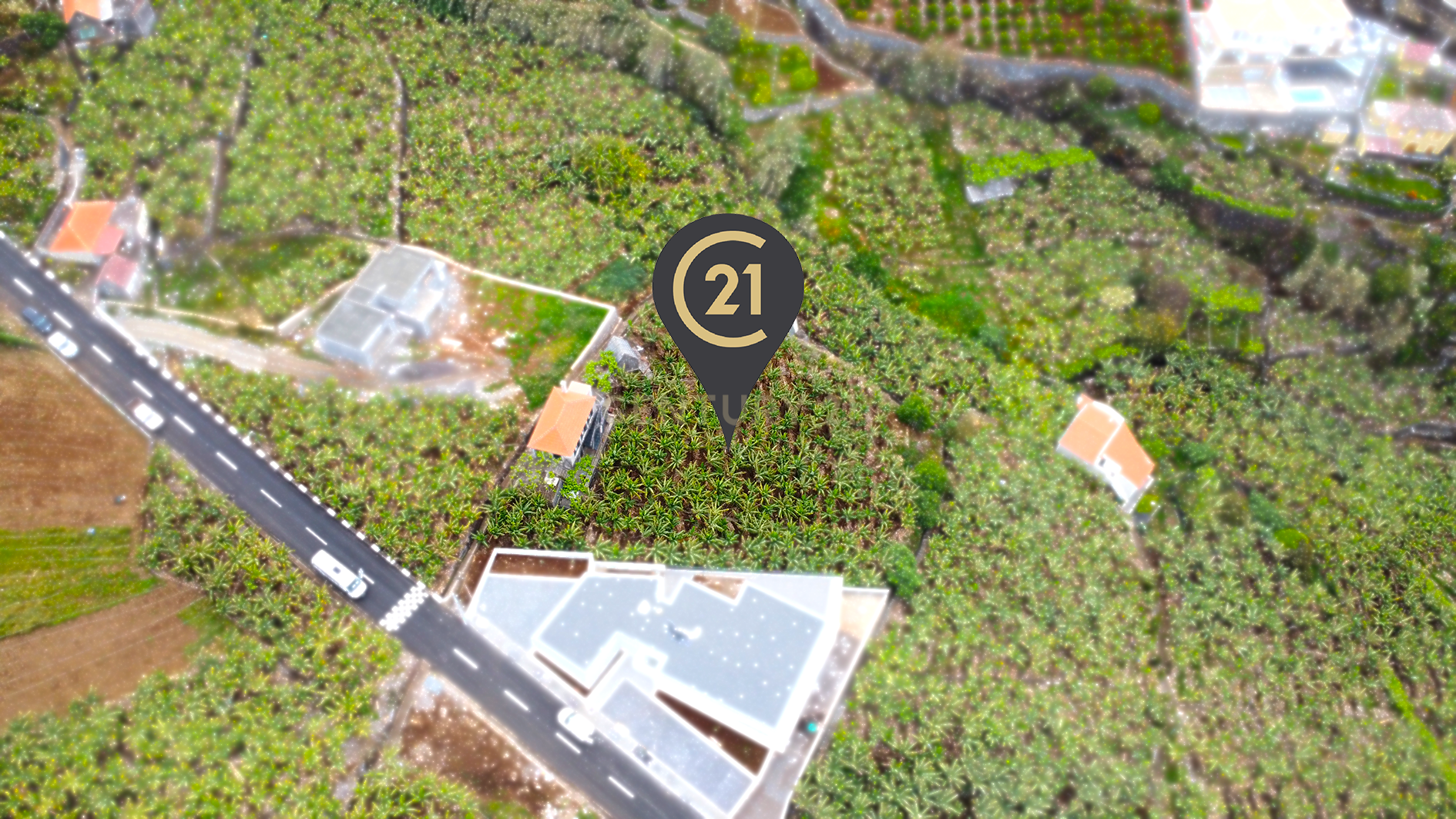 Fotografia 6 de Moradia com terreno de 2000 m² em Ponta do Sol