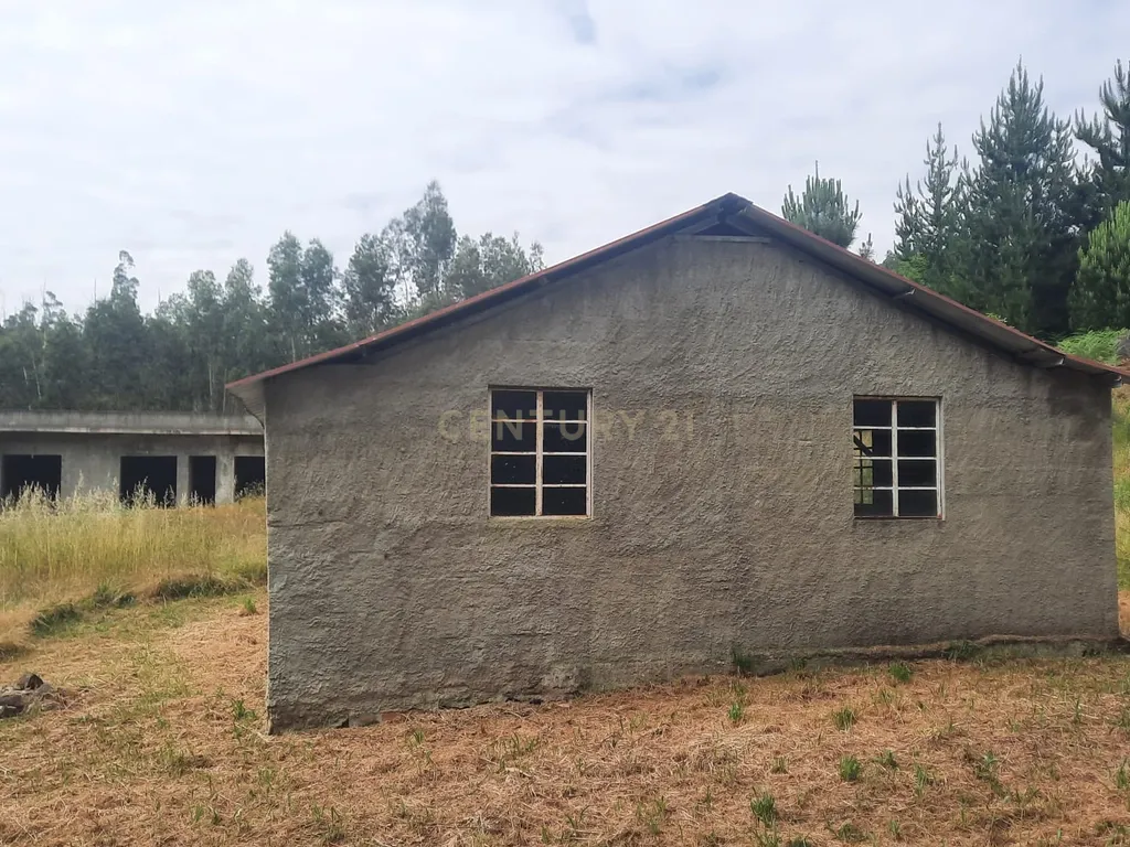 Casa moderna T3 e terreno rústico perto de Oliveira de Frades e Vouzela, preço total 125.000.00 euros! - Image 4