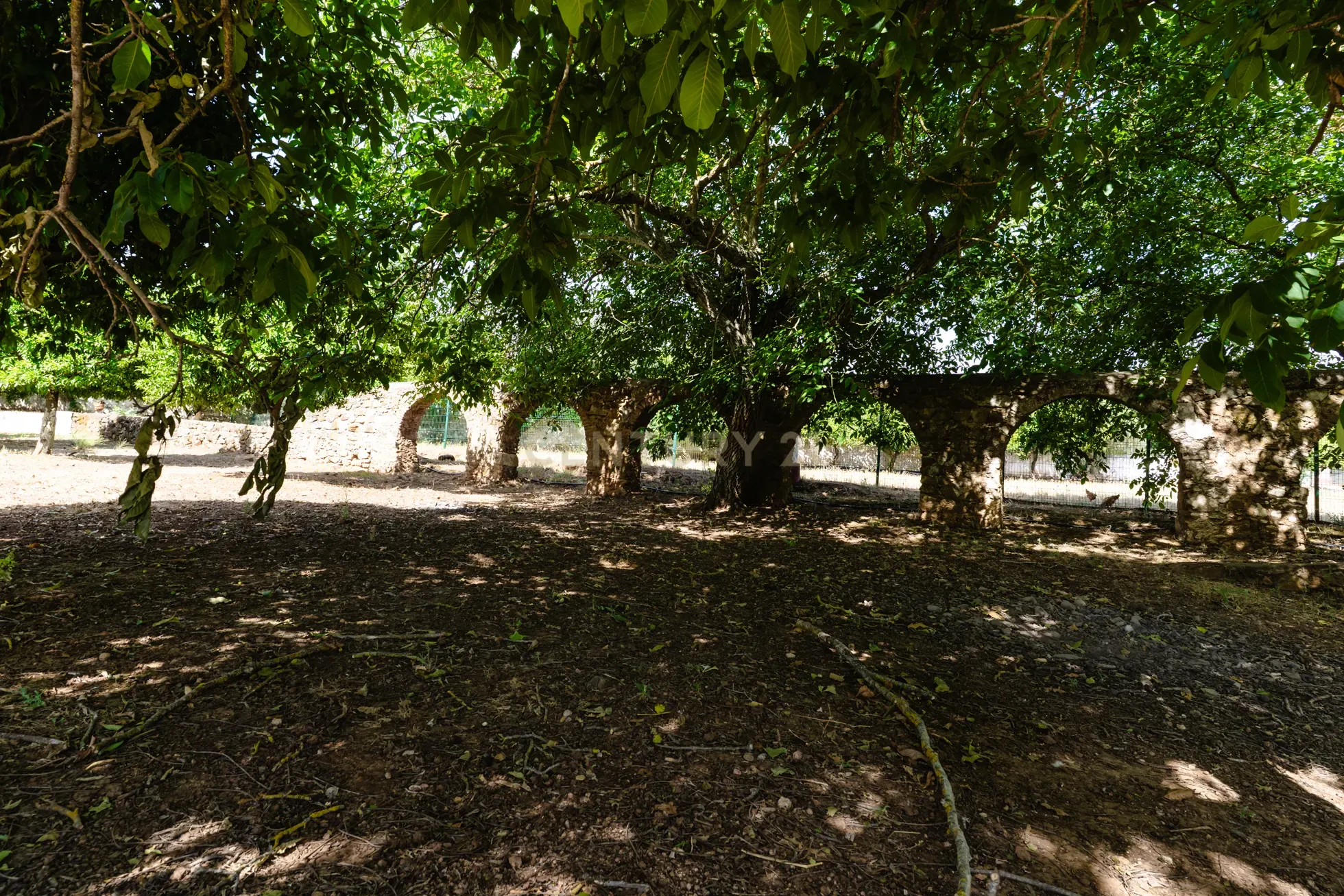 Fotografia 11 de Quinta em  São Brás e São Lourenço
