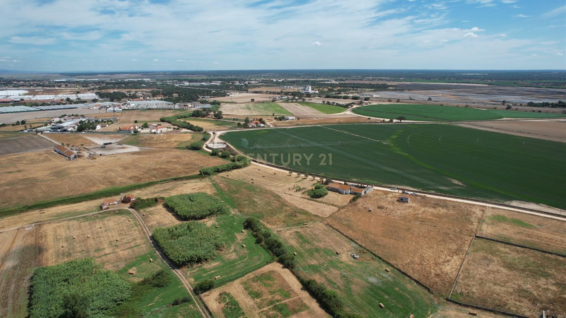 Fotografia 11 de Terreno com 8.700 m² no Rego da Amoreira — Alcochete