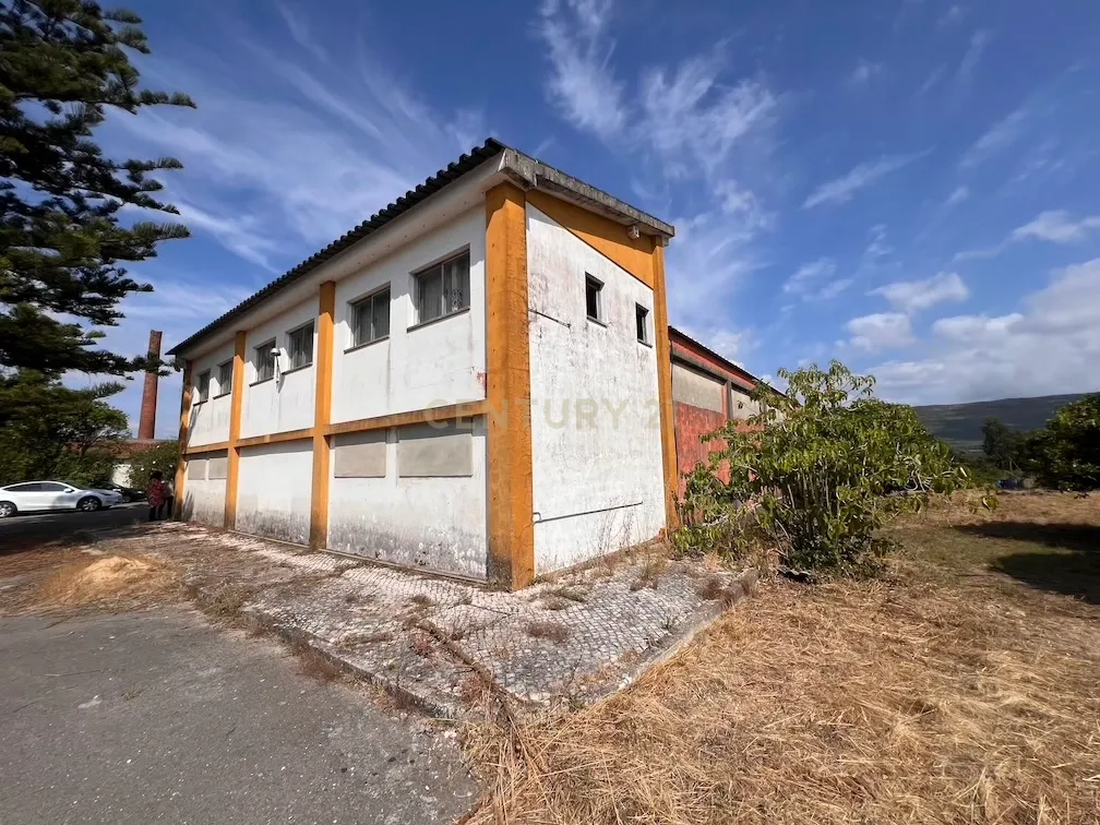 Pavilhão com grande potencial industrial/comercial junto à estrada principal em Albergaria – Juncal - Image 2