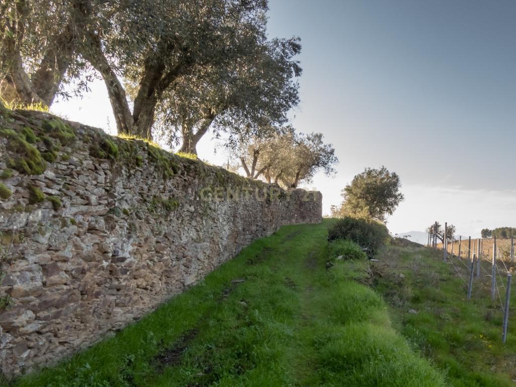 🏡Quinta com Moradia T3 e Vinha no Coração do Alto Douro Vinhateiro – Património Mundial da UNESCO - Image 68