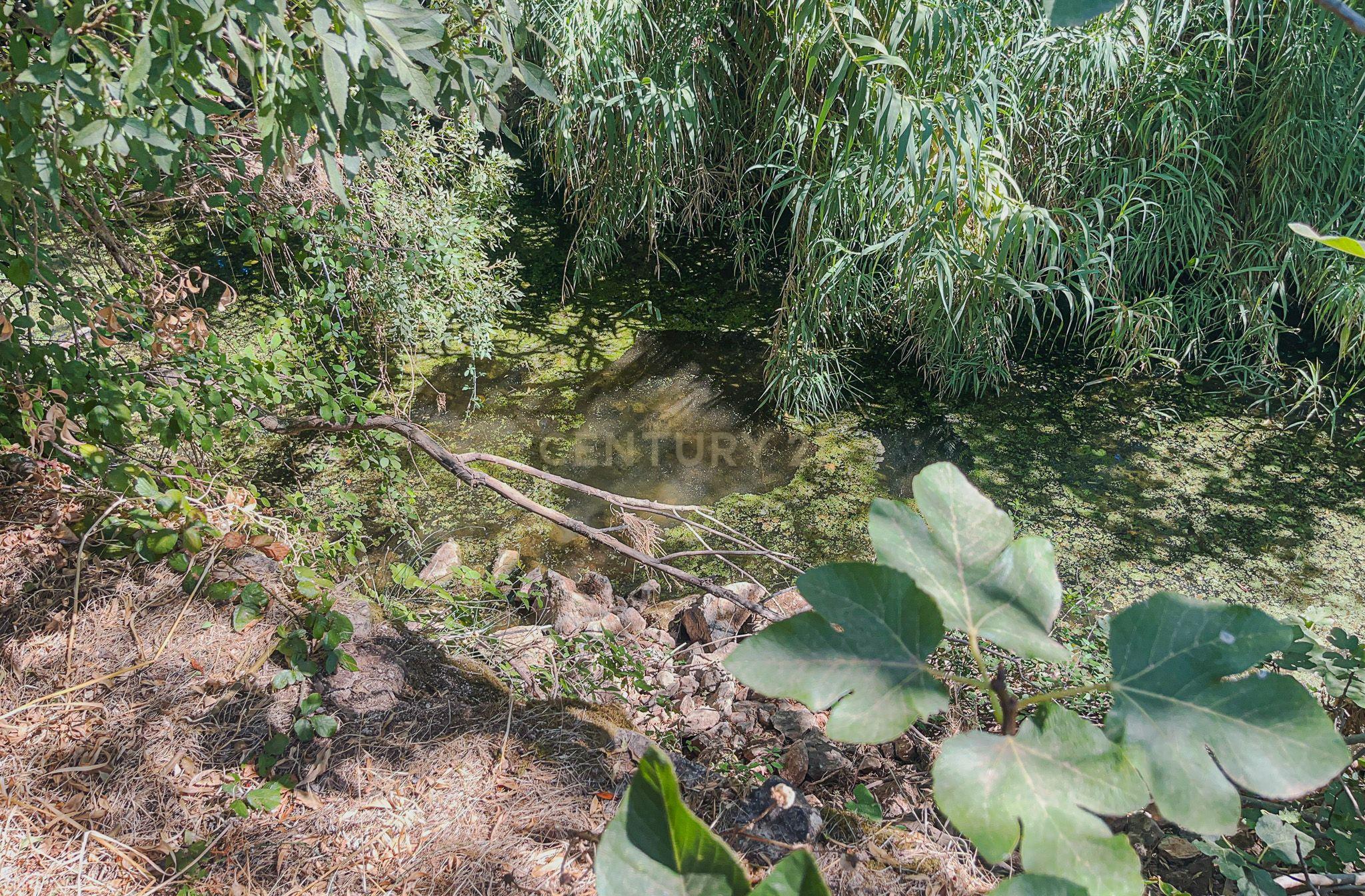 Fotografia 9 de Refúgio na natureza junto a ribeira