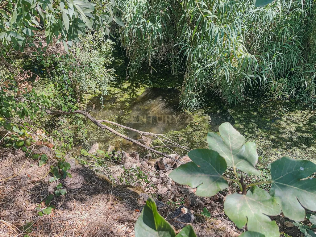 Refúgio na natureza junto a ribeira - Image 9