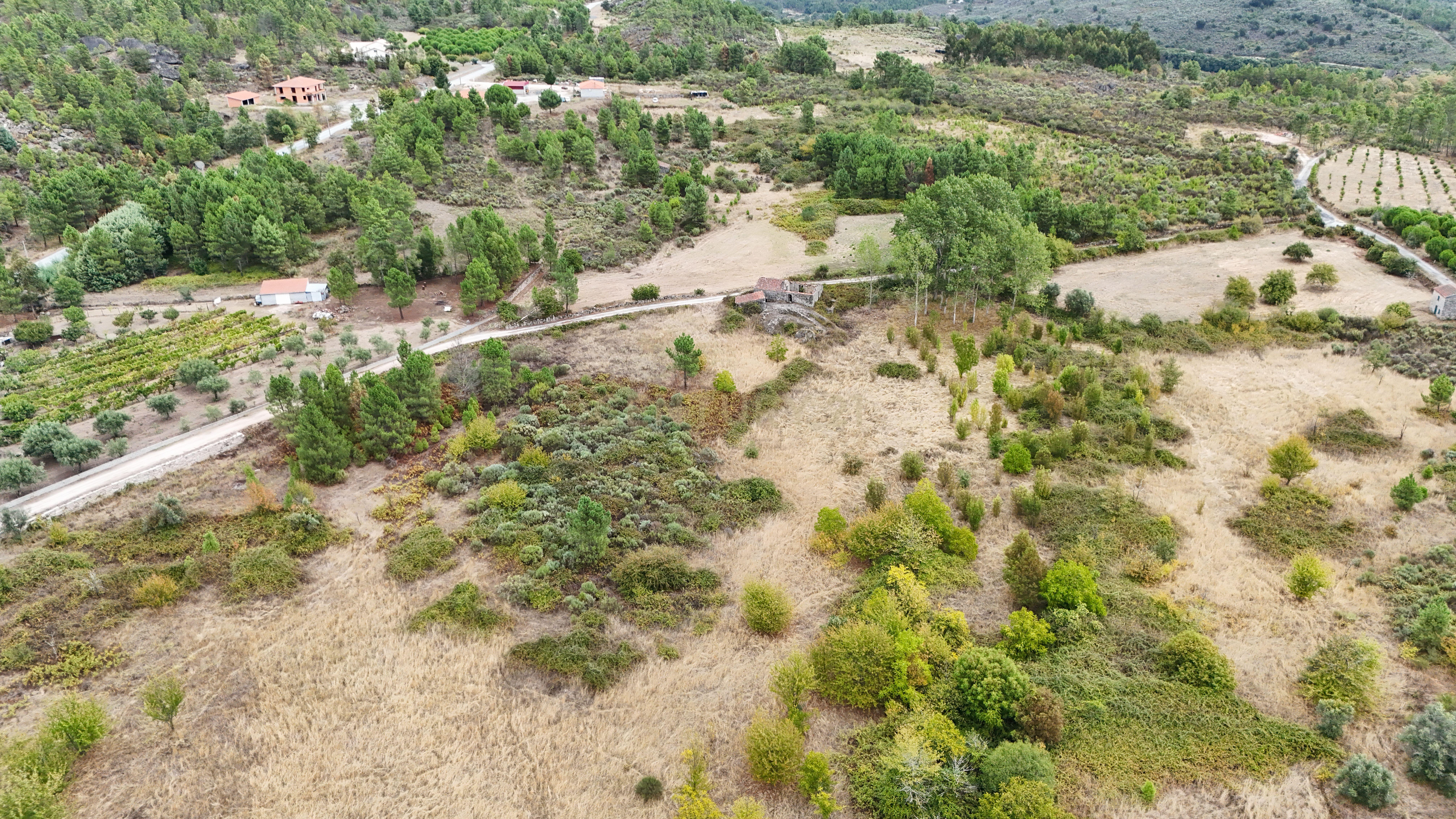 Fotografia 2 de Quinta com 37.000 m² e casa de pedra em Figueiró da Granja - Fornos de Algodres