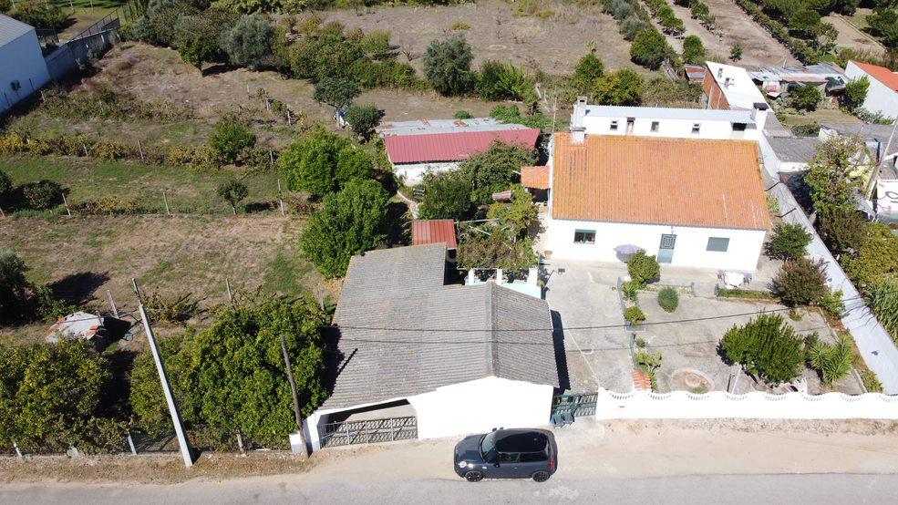 Quinta para venda na Atalaia, Vila Nova da Barquinha - Image 1