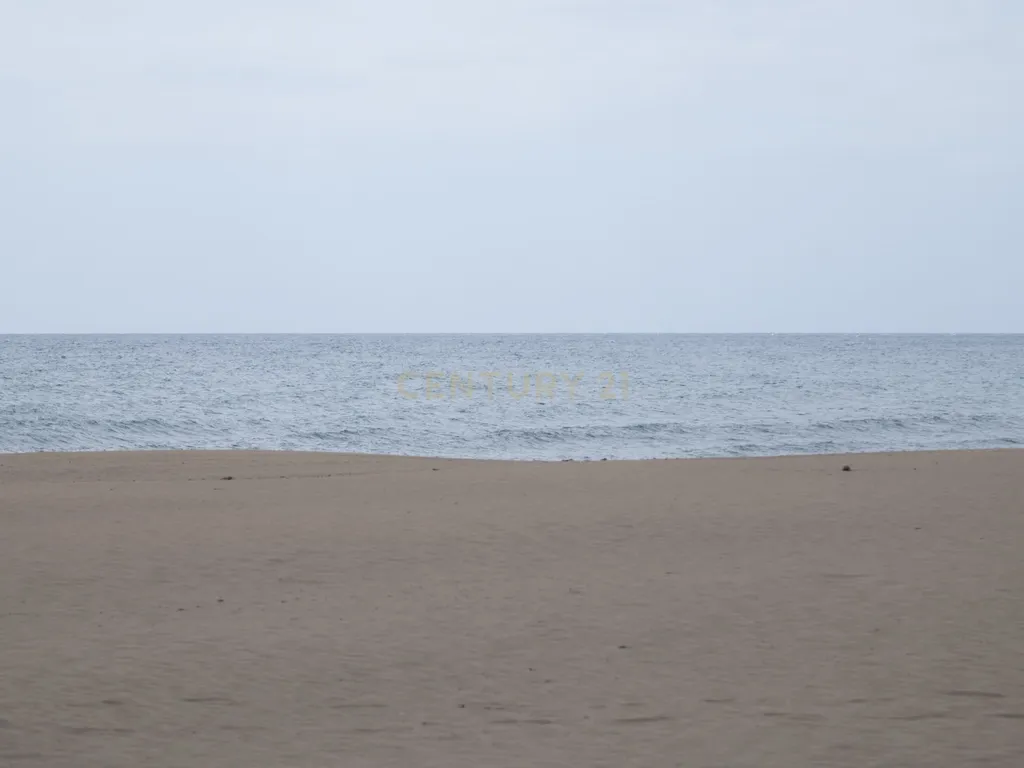 - Image 42