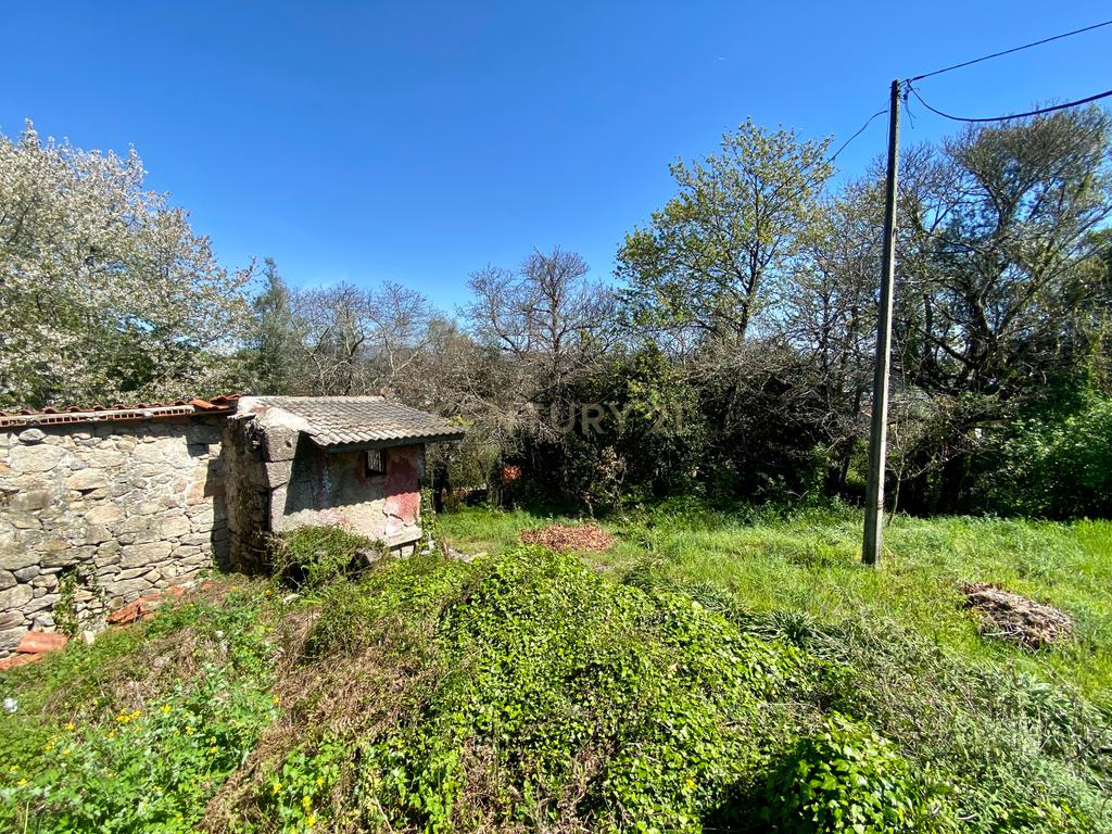 Terreno Ruína Povoa de lanhoso (Negociavel) - Image 7