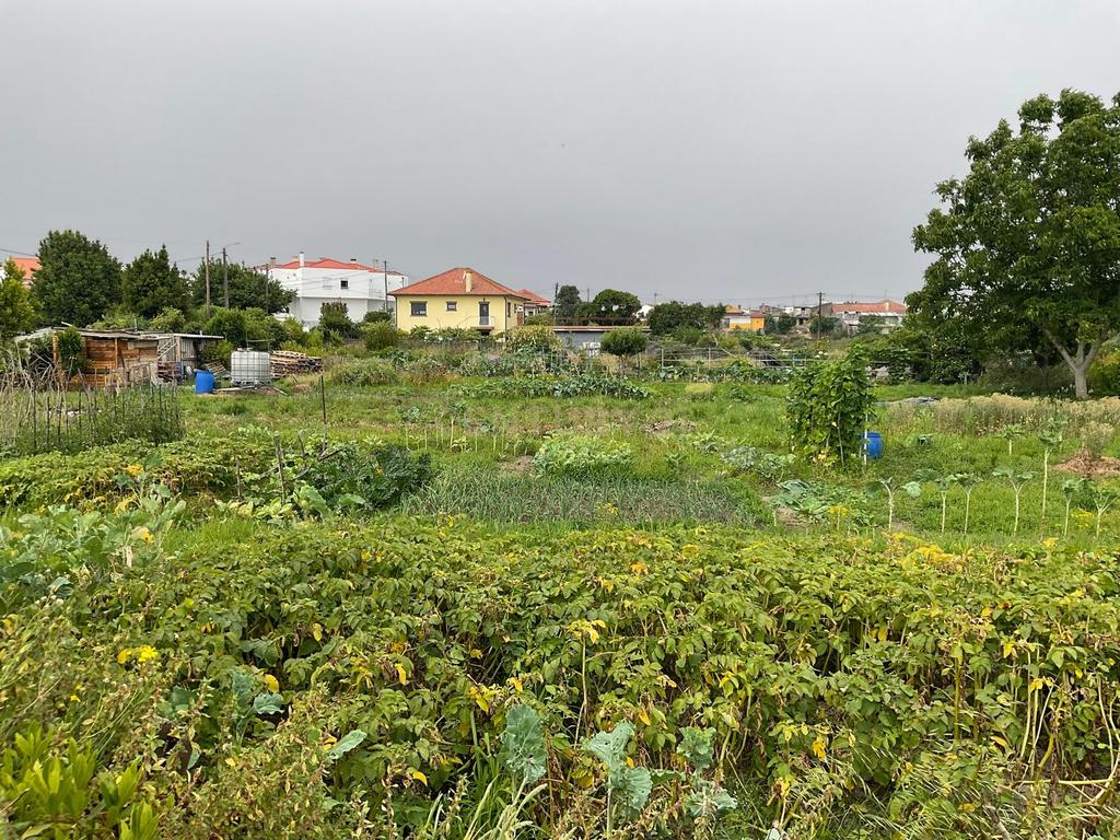 Terreno Aprovado para Projeto em Viana do Castelo - Image 6