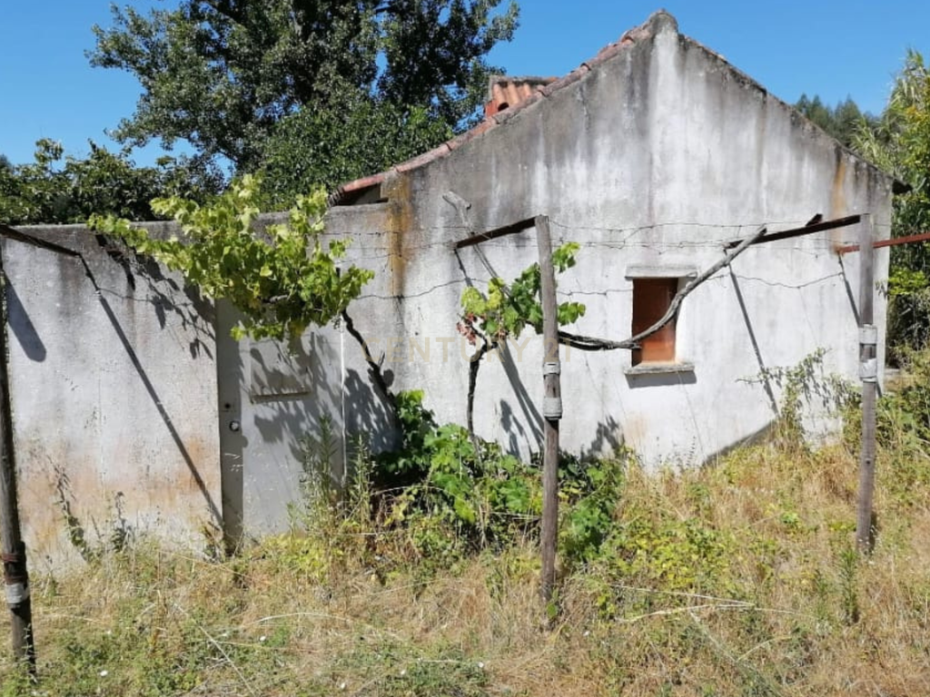 Terreno Agrícola em Gavião, Portalegre - 2500m² com casa - Image 17