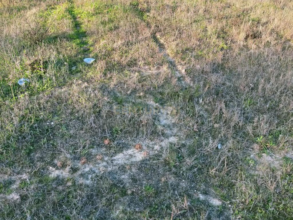 Terreno à Venda em Lamas – Cadaval - Image 7