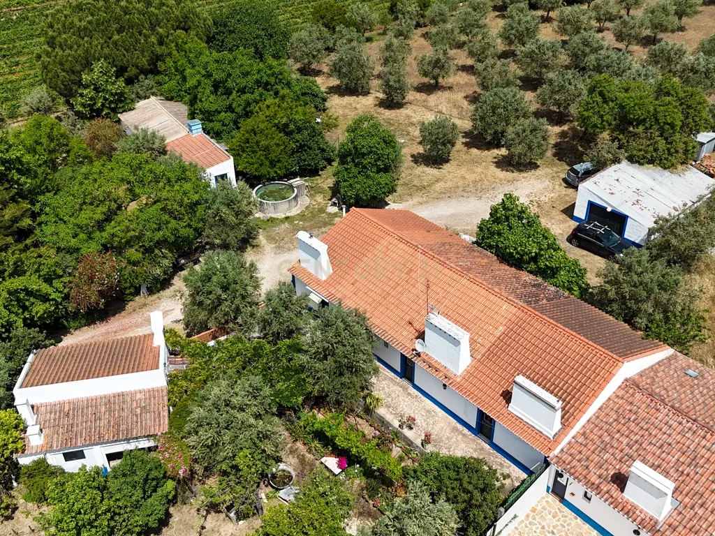 Quinta T3+3 com 4 HA em Borba – Natureza, Produção Agrícola e Conforto - Image 33