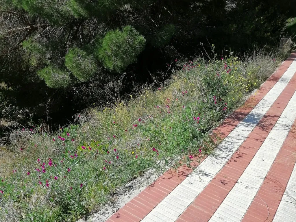- Image 3