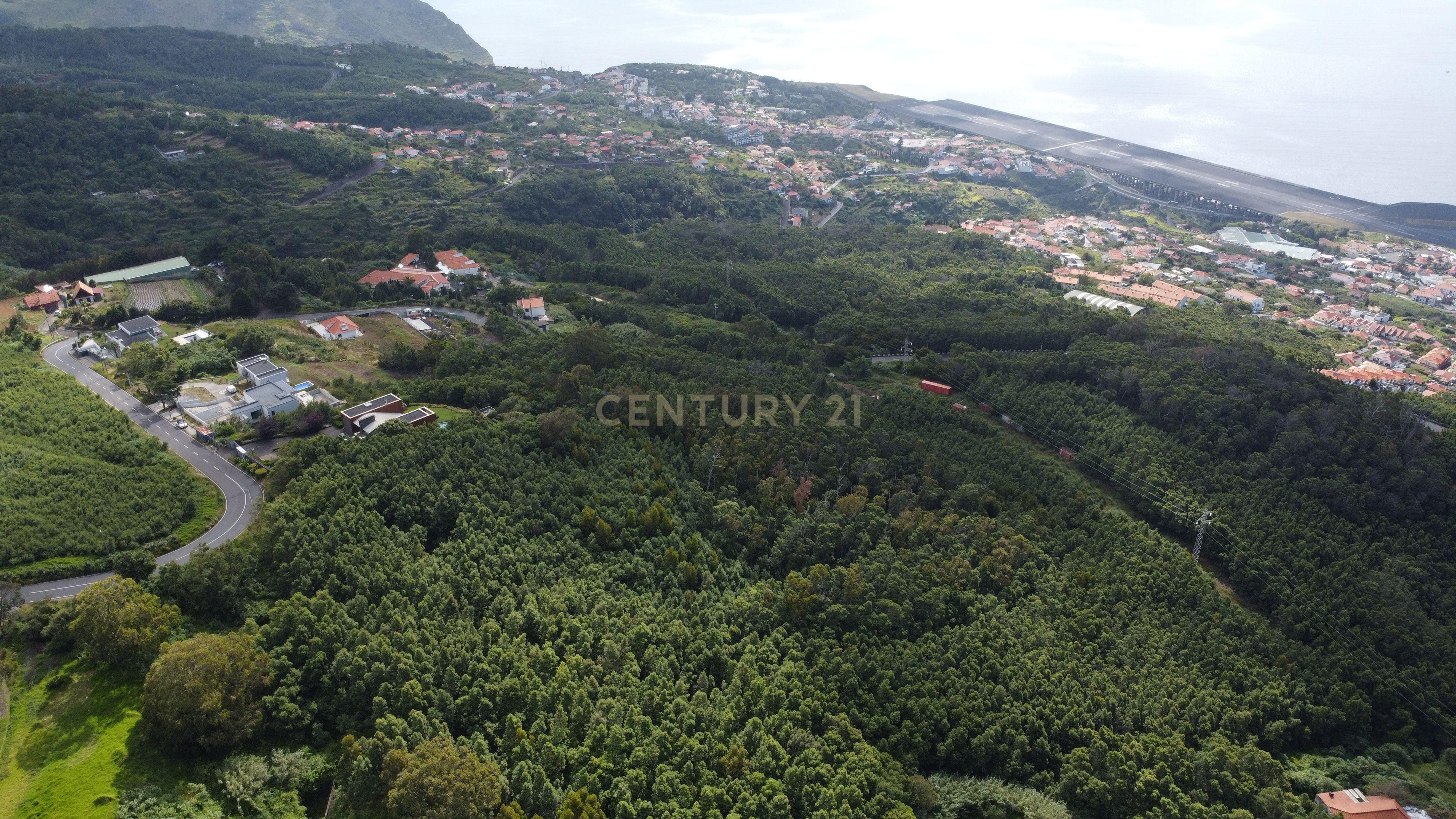 Fotografia 3 de Terreno em Santa Cruz, Ilha da Madeira