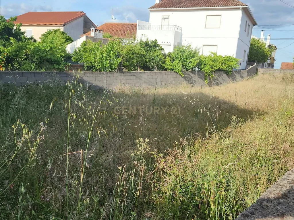 🏡 Oportunidade única na Lousa, Castelo Branco - Image 9