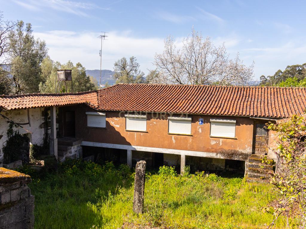 🌿 Quinta Rústica com 15.075 m² | Para Recuperar | Póvoa de Lanhoso, Braga - Image 19