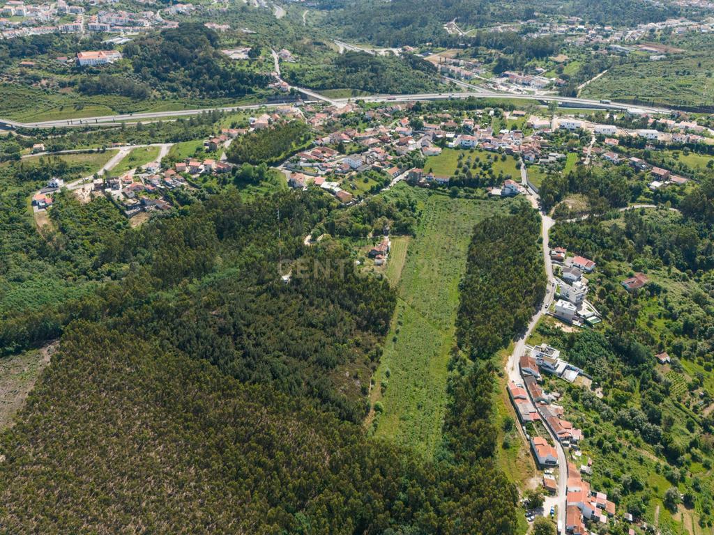 Quinta com 8 hectares com potencial para construção – Antanhol - Coimbra - Image 11