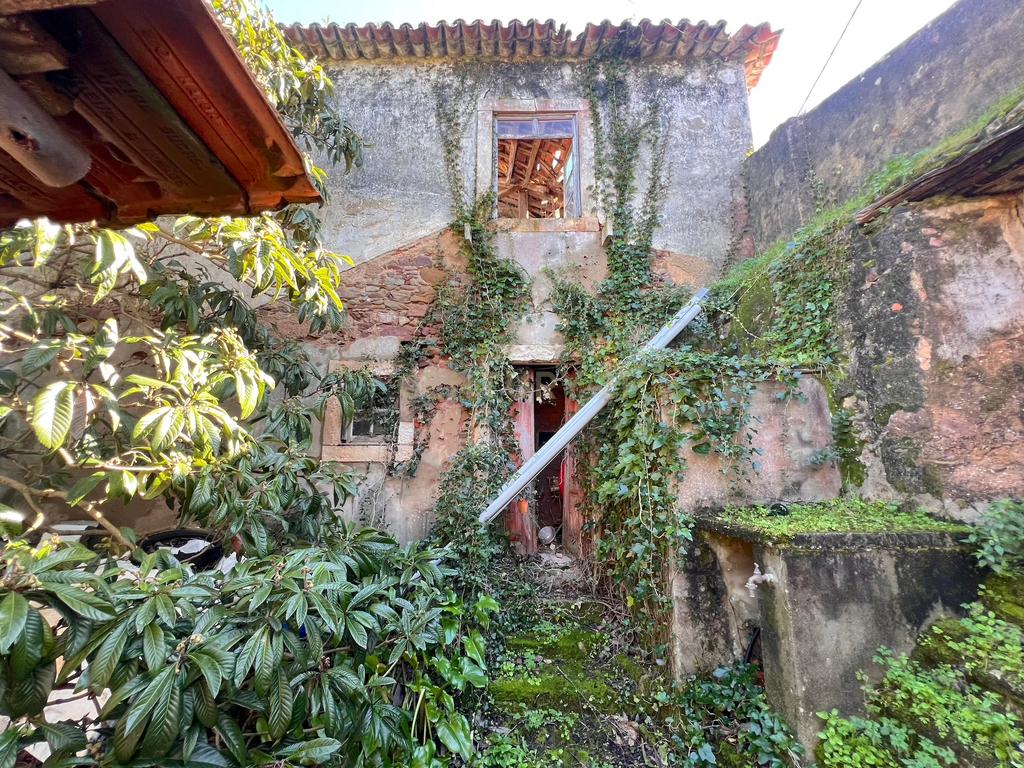 Casa com Adega para Reconstrução na Aldeia de Crastos - Image 13