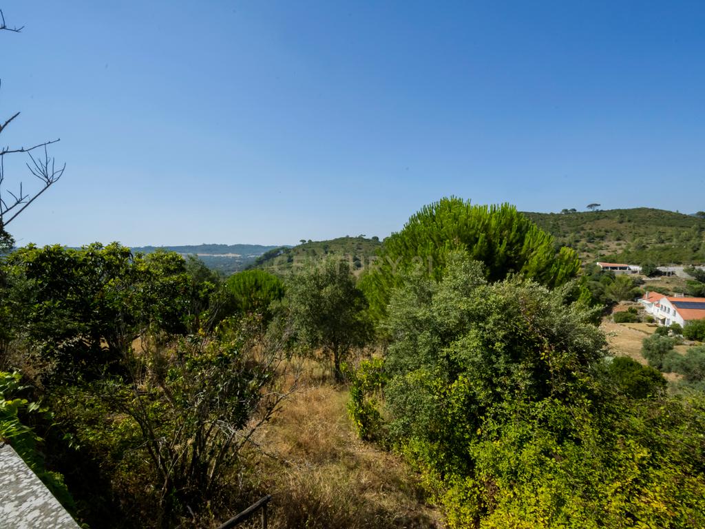 Quinta de 3.500 m2 na Serra da Arrábida - Image 27