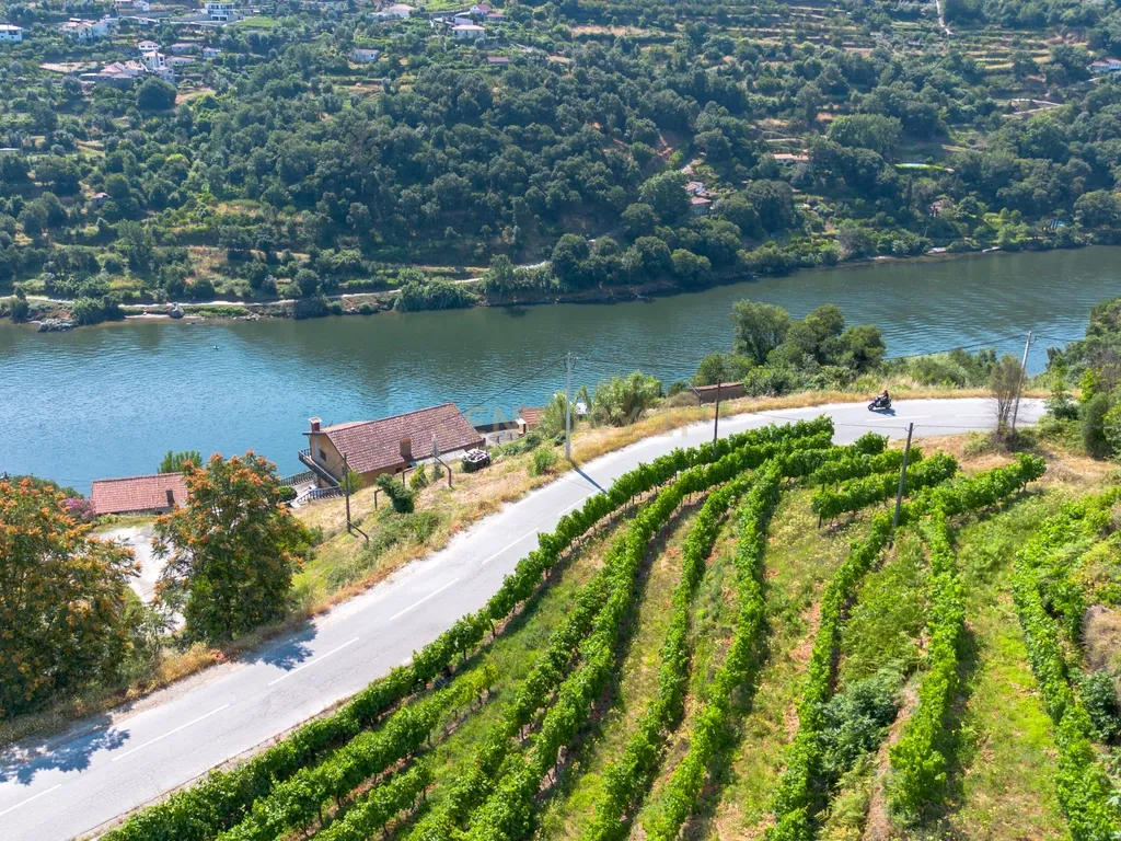 Quintinha com 2 casas em pedra para recuperar + 2 terrenos com vinhas-( 8.210m2 ) -Douro Vinhateiro! - Image 42