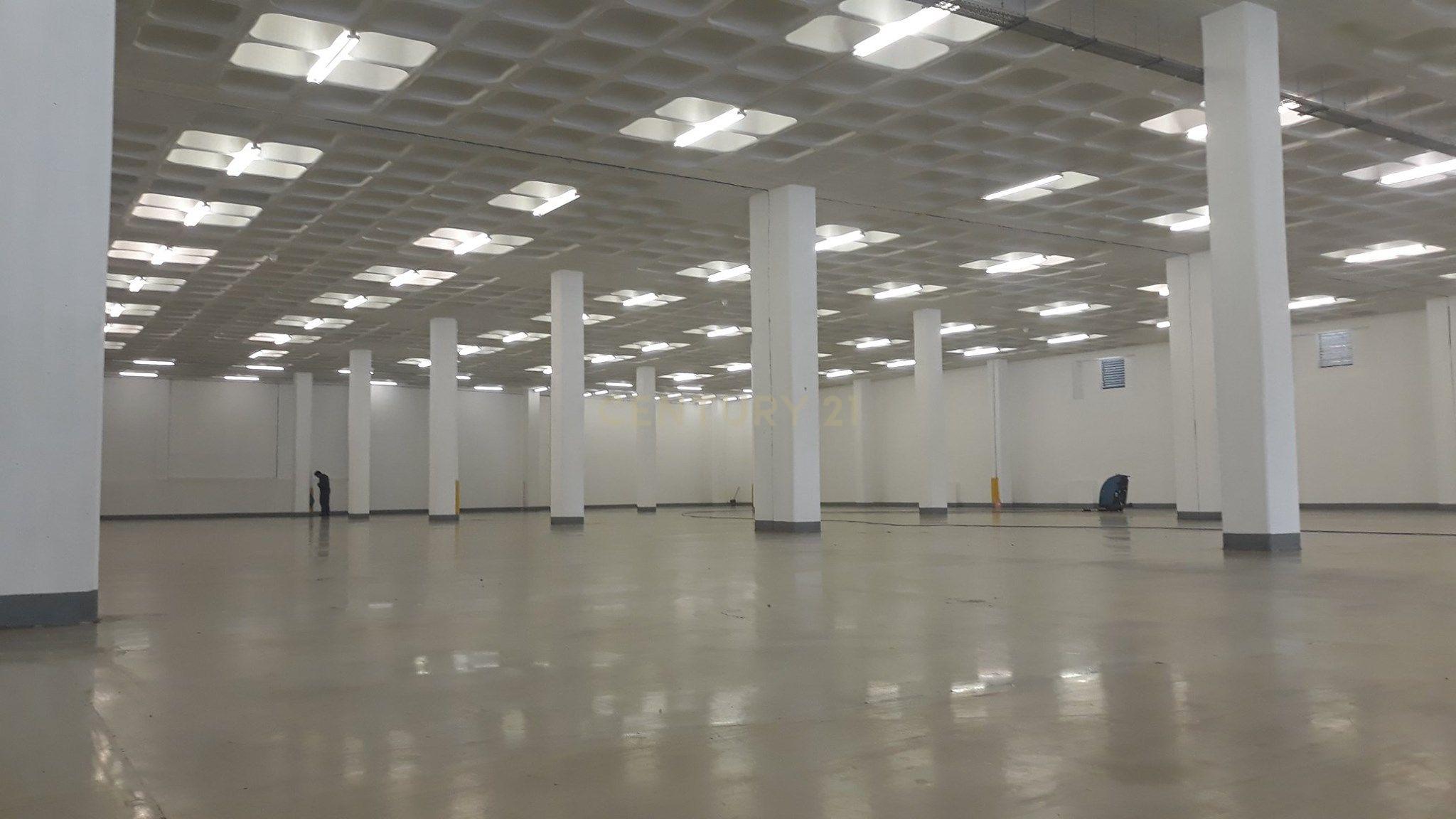 Armazém 500m2 - Image 4