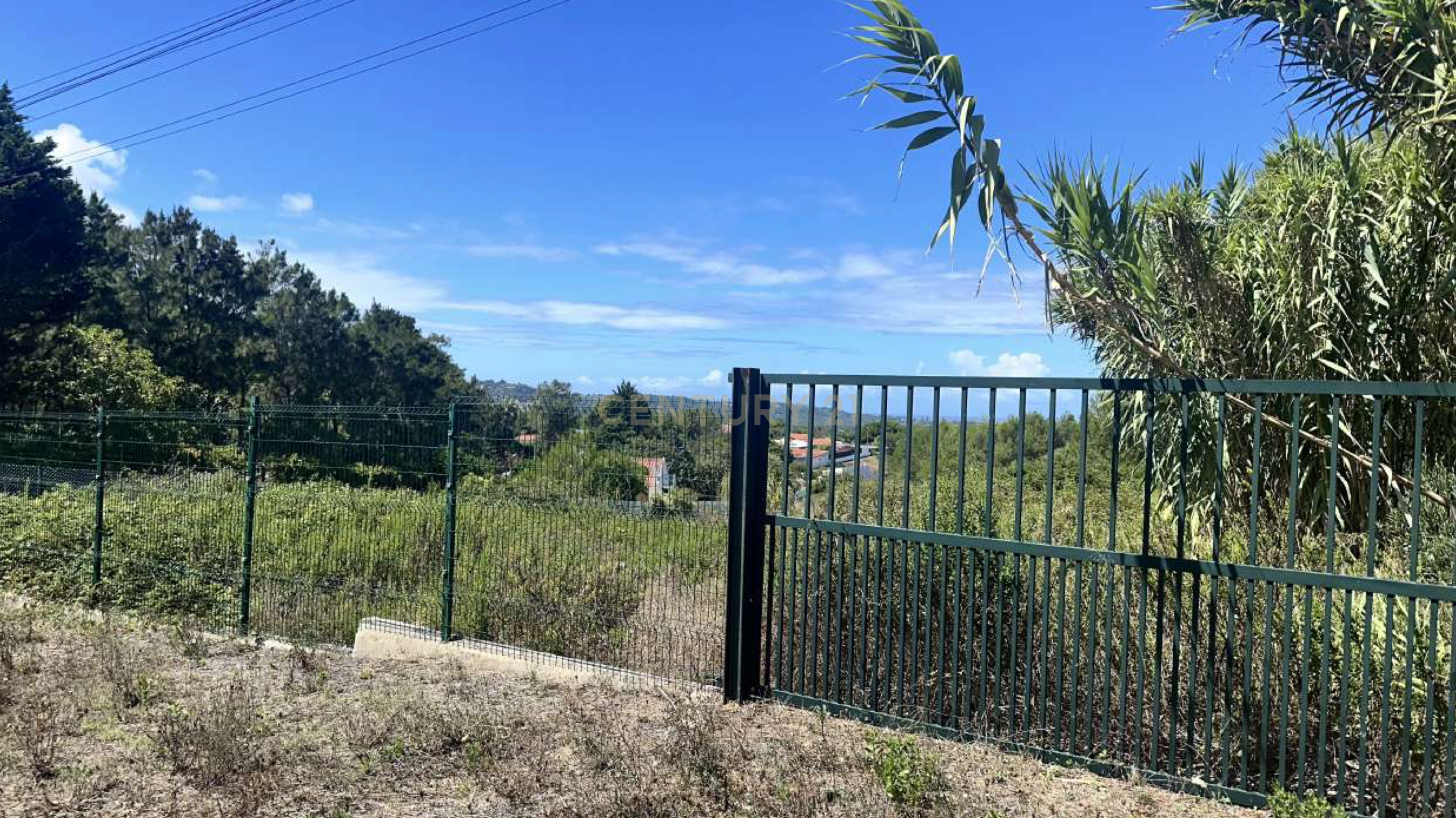 Fotografia 11 de Vende-se Terreno com 7880 m2 e vista privilegiada para a Serra de Sintra  - Galamares.