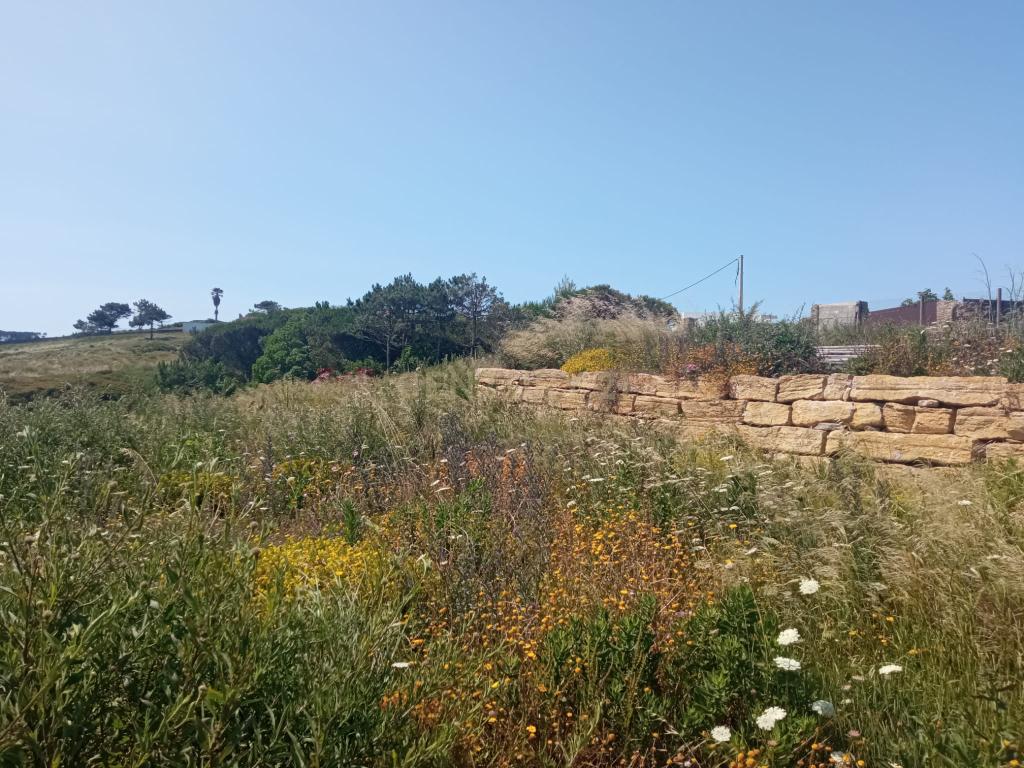 Terreno em Sintra, Perto da Praia de São Julião  - Image 9
