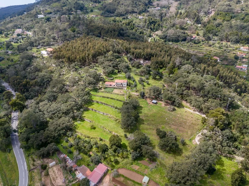 QUINTA COM 2,5 HECTARES EM ZONA CENTRAL DE MONCHIQUE - Image 37