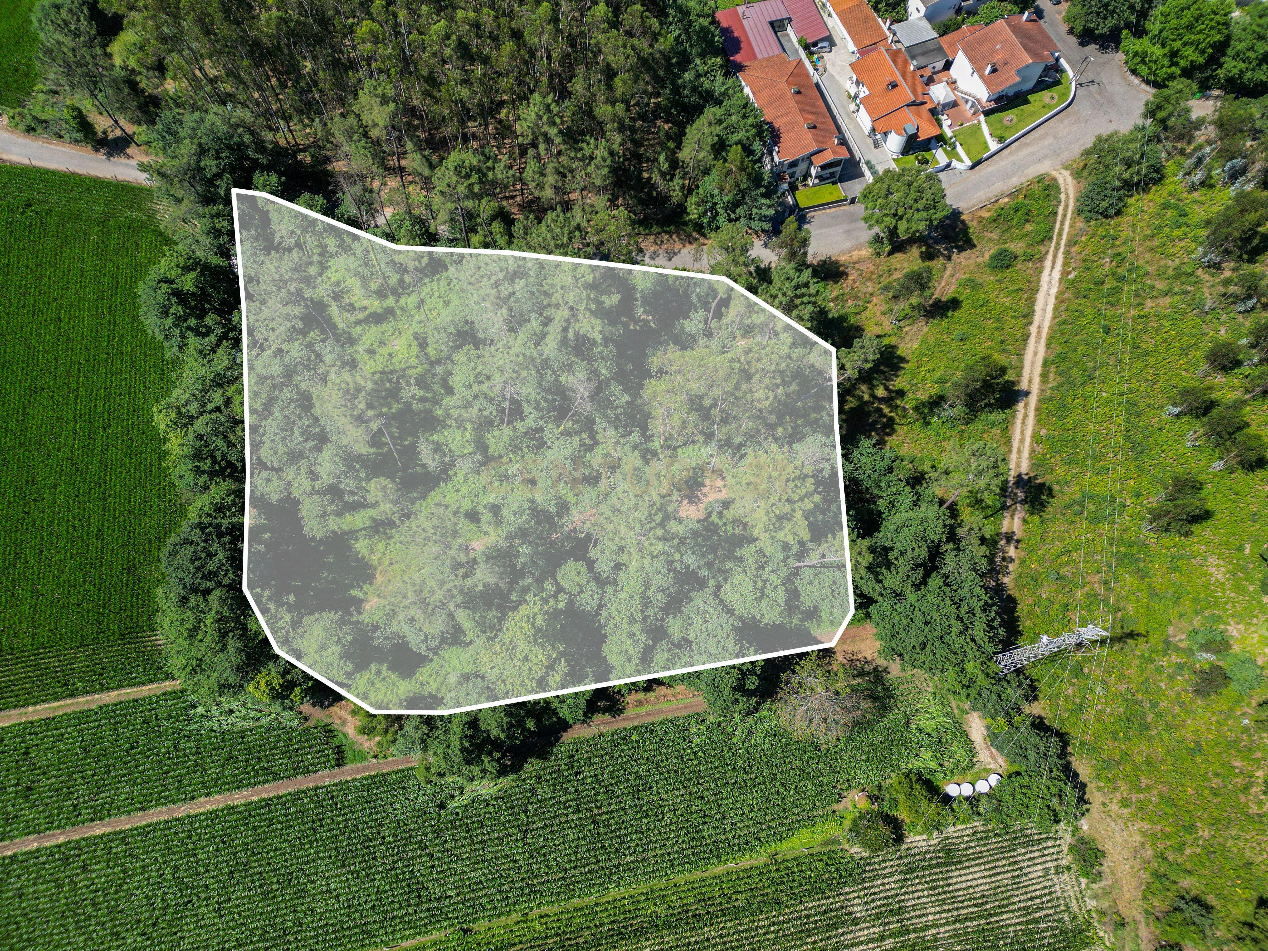 Fotografia 10 de Terreno ER1 com 8.334 m² e 6.600 m² de Construção | Excelente Oportunidade para Promotores