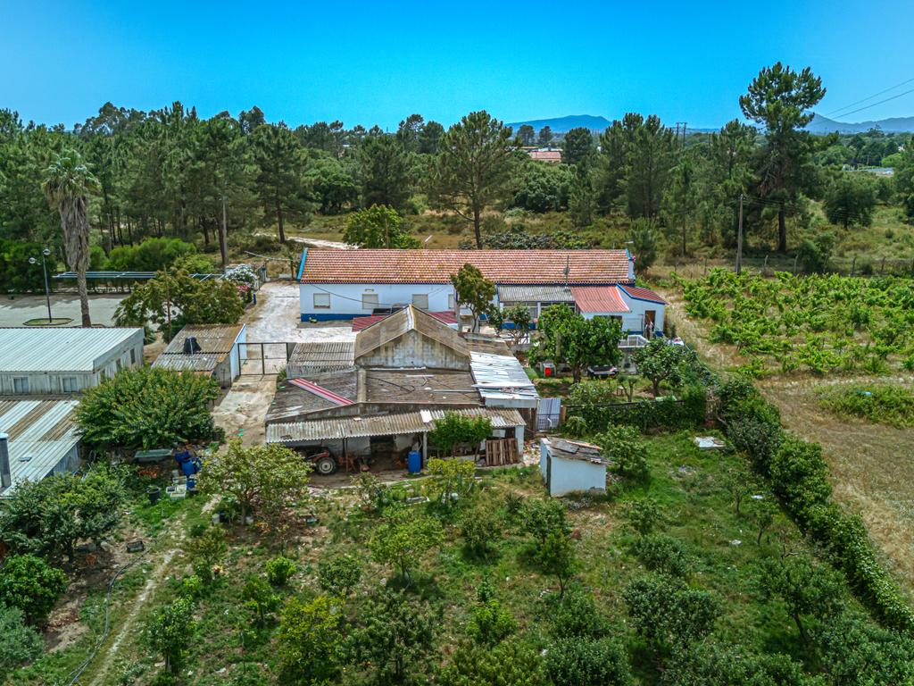 Encantadora Quinta em Palmela com 5200m2 e 196m2 privativos - Image 5