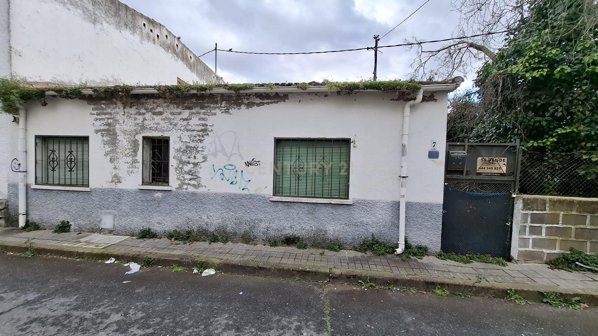 Terreno - Image 4