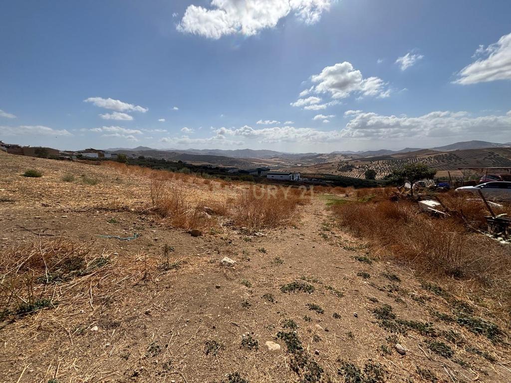 undefined - Image 7