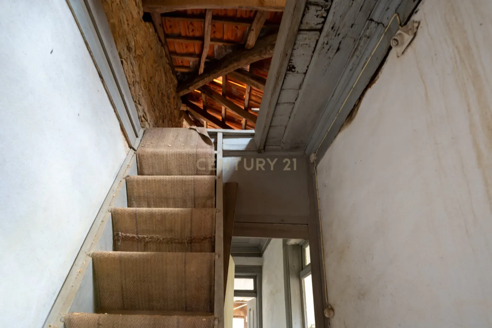 Fotografia 11 de Quinta com duas casas independentes para restaurar e poço