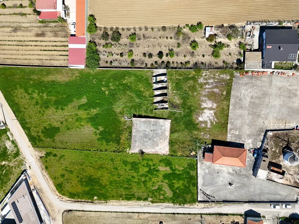 Pequena Quinta em Ventosa, Torres Vedras - Image 2