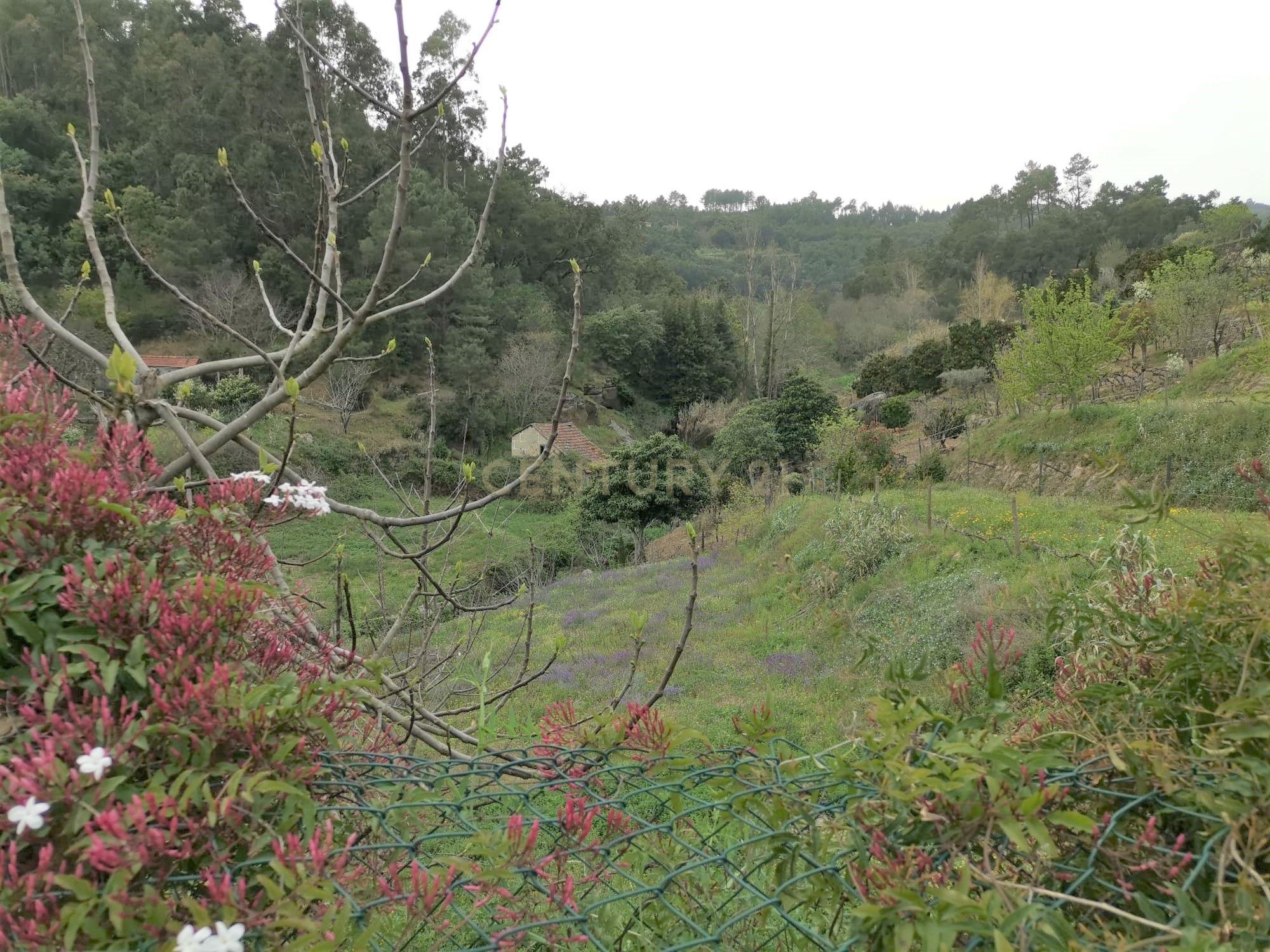 Terreno agrícola com àgua e viabilidade de construção em Granja, S. Tomé de Covelas, Baião, perto do do rio Douro, Porto - Image 20