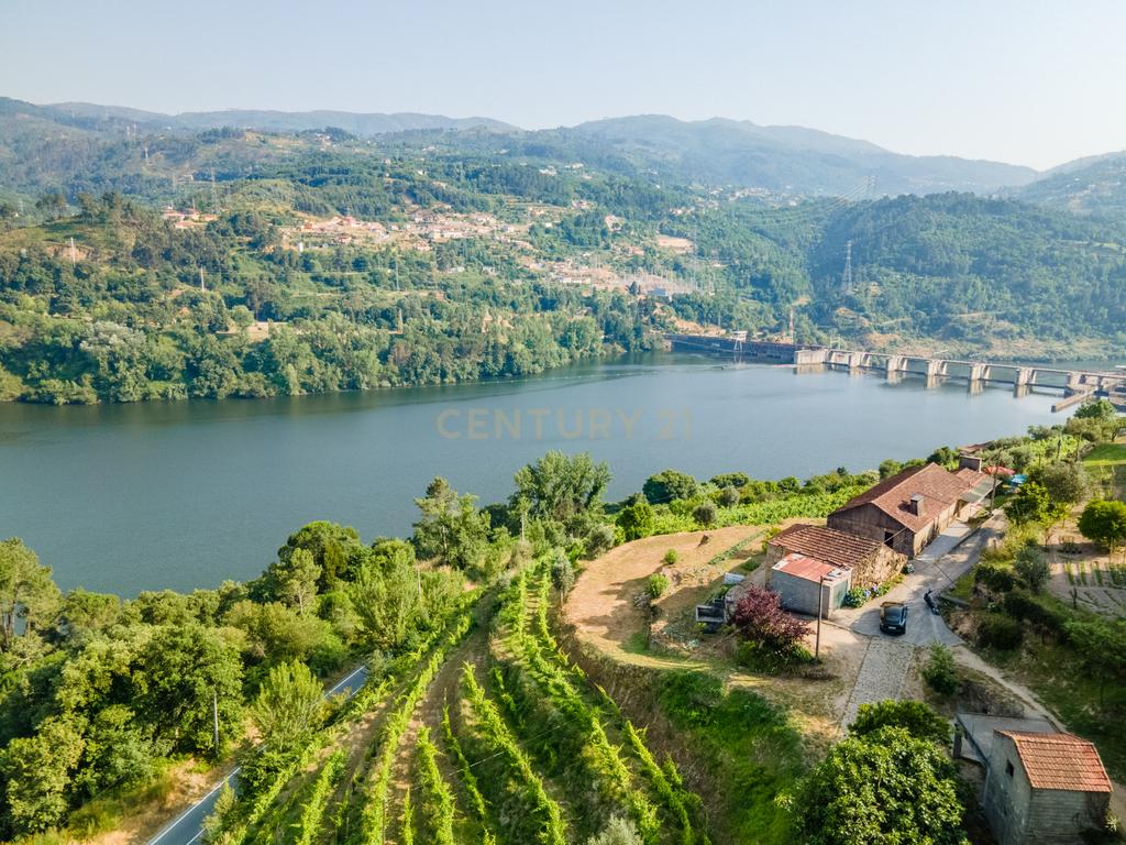 Quinta com Vista Deslumbrante sobre o Rio Douro – Projeto Aprovado para Hotel Rural | Paços de Gaiolo - Image 18
