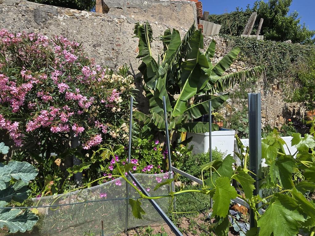 Moradia Renovado com Terraço e Jardim Caixaria - Torres Vedras  - Image 47