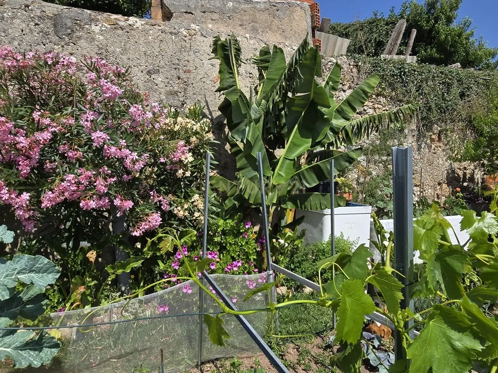Moradia Renovado com Terraço e Jardim Caixaria - Torres Vedras - Image 47