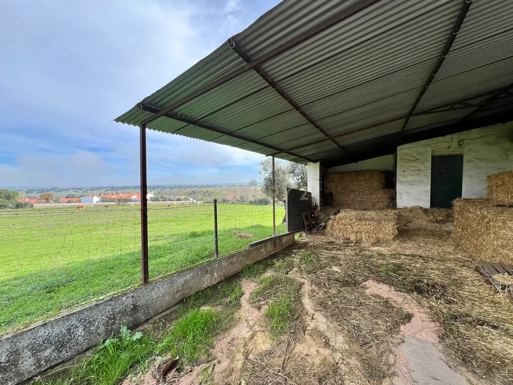 Magnífica Quinta em Monforte com Vista Panorâmica e Piscina - Image 5