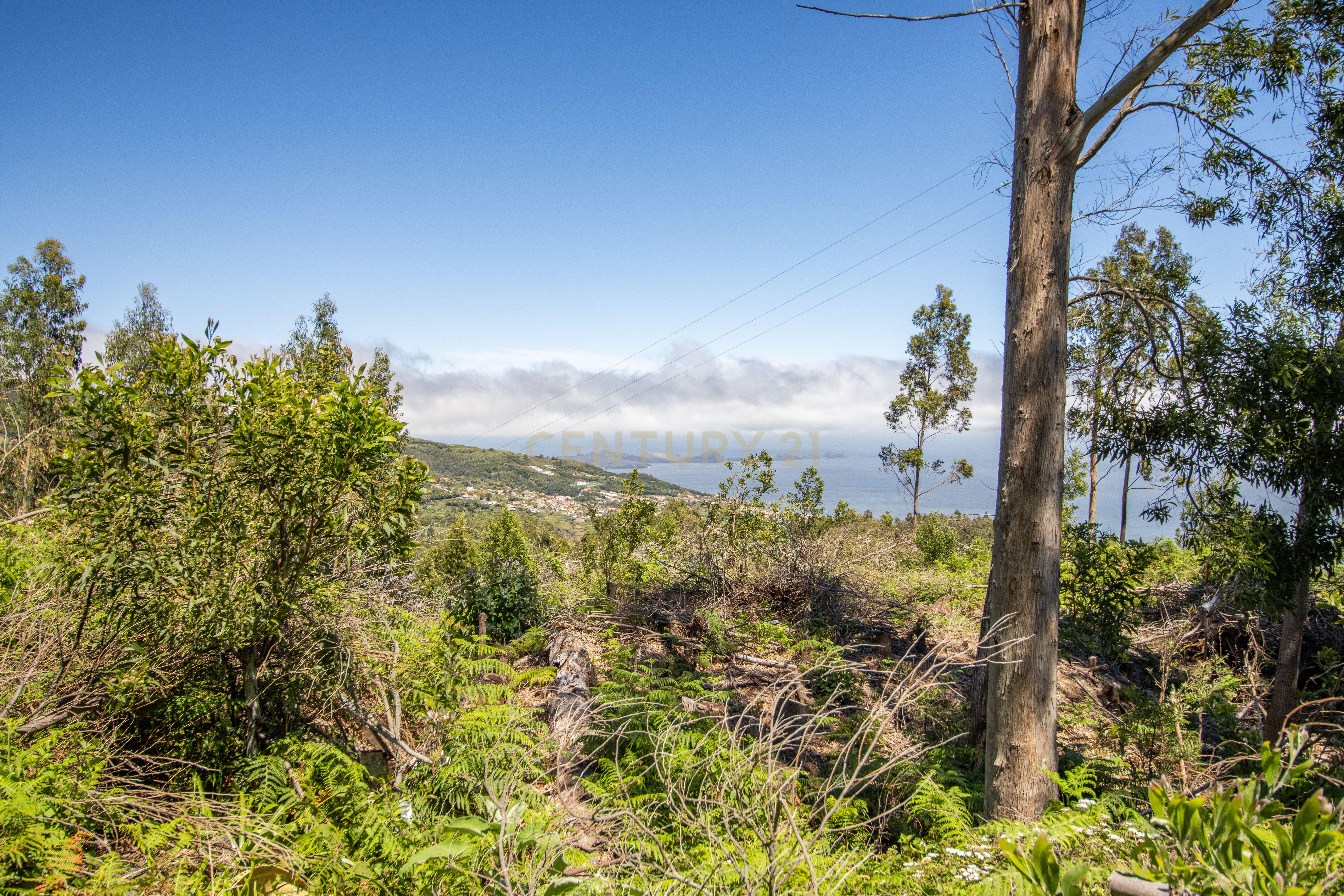 Fotografia 4 de Terreno com Vista Mar e Viabilidade de Construção para Habitação Própria em Gaula
