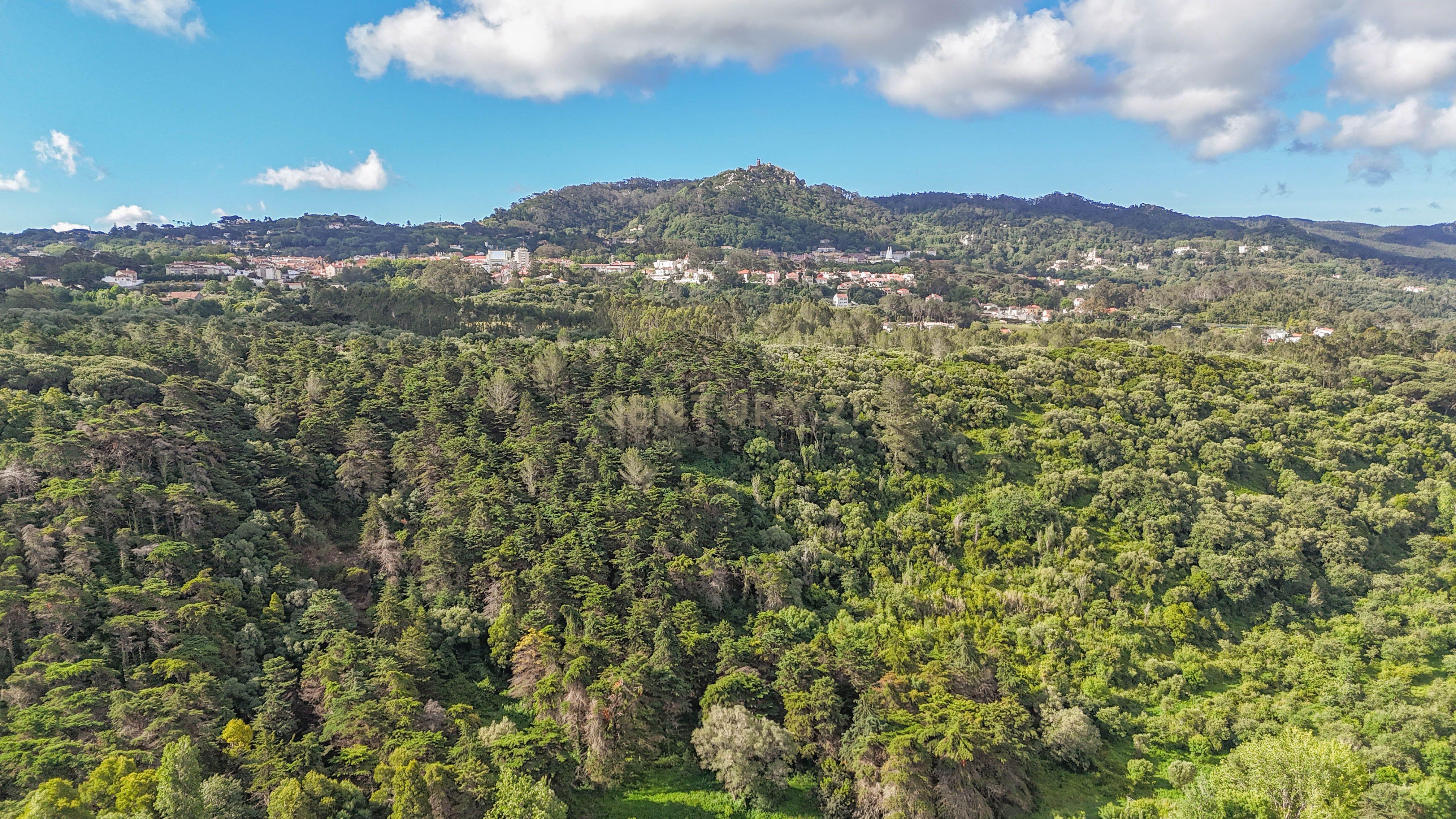 Fotografia 12 de Lote de Terreno para Construção de Moradia de Luxo | Lourel, Sintra | 1.106 m²