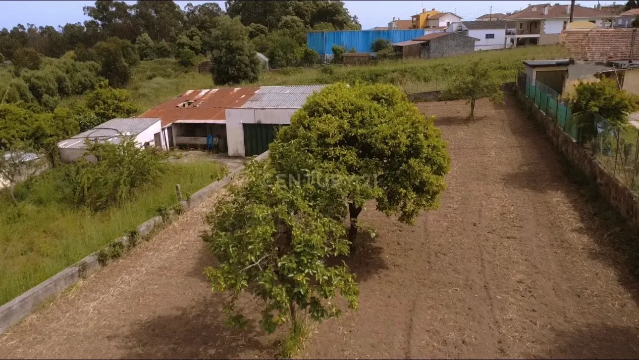 Fotografia 6 de Terreno com potencial de urbanização em São Romão do Coronado