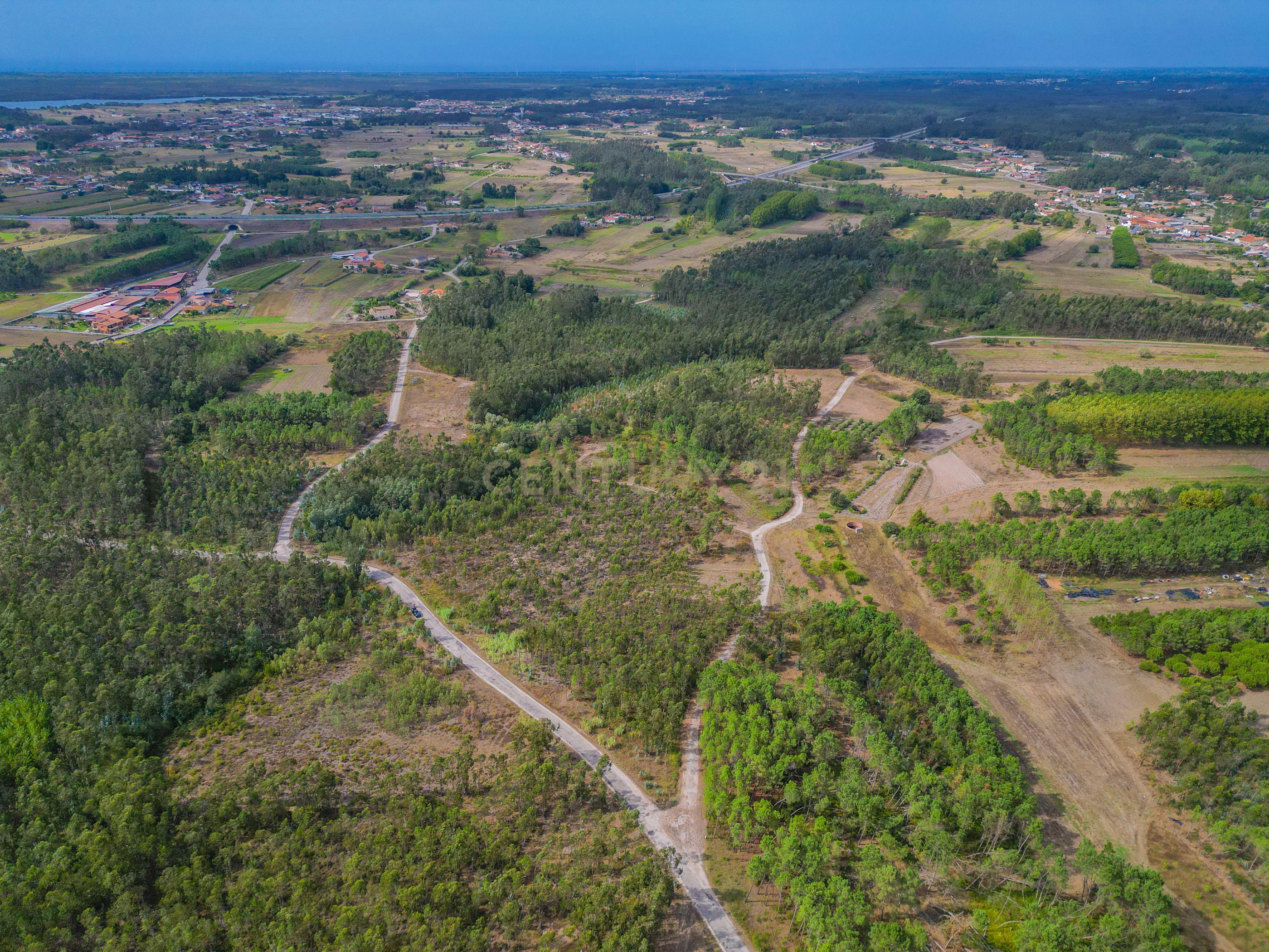 Fotografia 9 de Terreno rústico com cerca de 3.930,00 m² para venda em Lafrana de Cima – Figueira da Foz