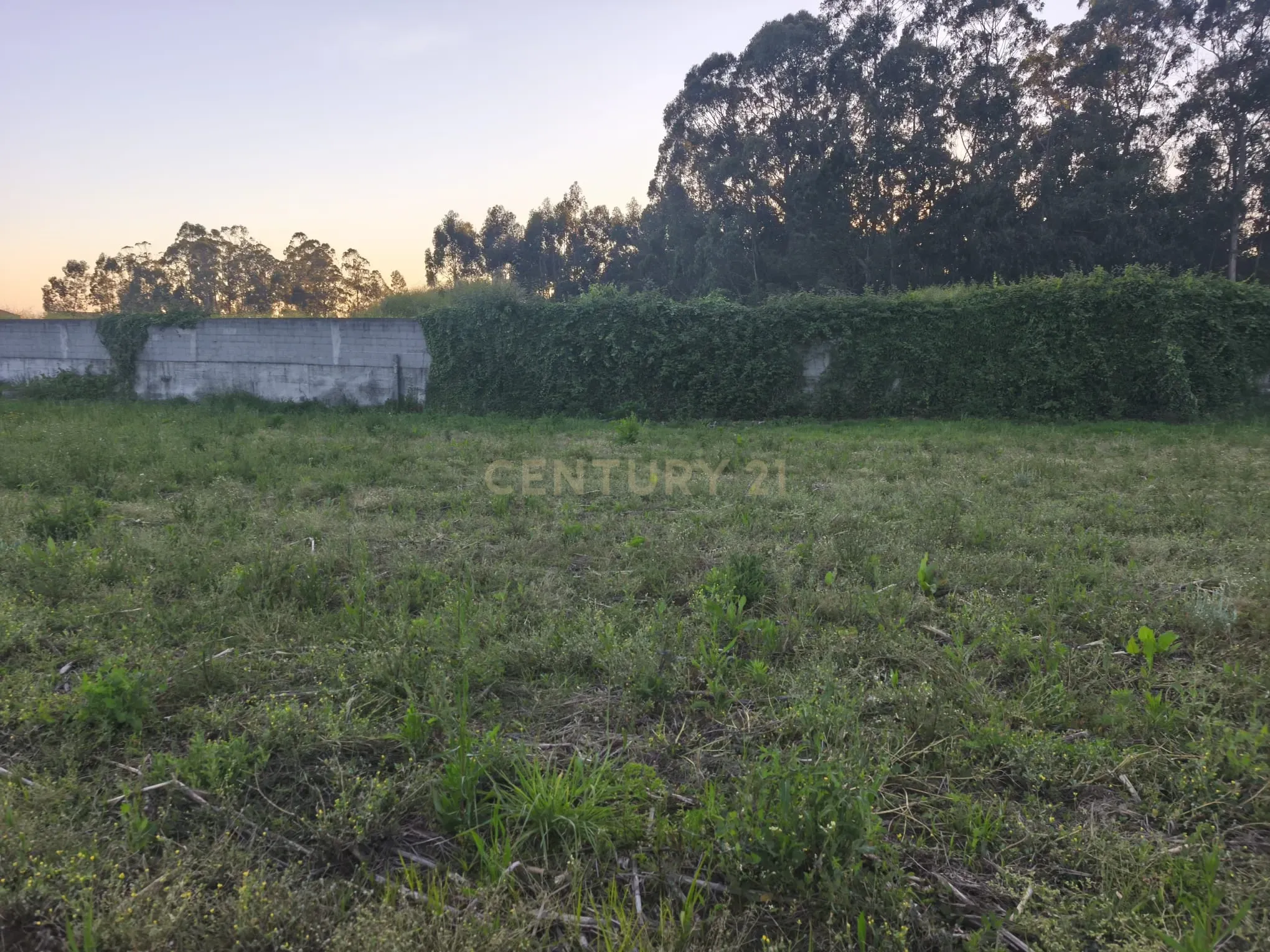 Fotografia 8 de Quer construir uma moradia à sua medida perto da Póvoa de Varzim?
