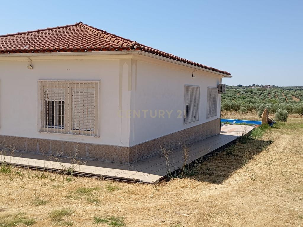 Espetacular Moradia com Piscina e Vinhedo em Campo Maior - Image 32