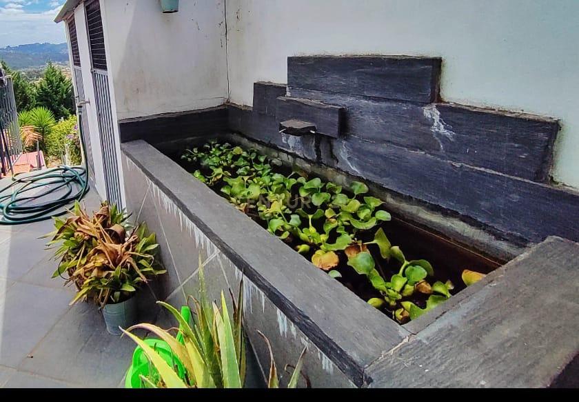 Moradia com miradouro, piscina e área agricola em Lousada - Image 7