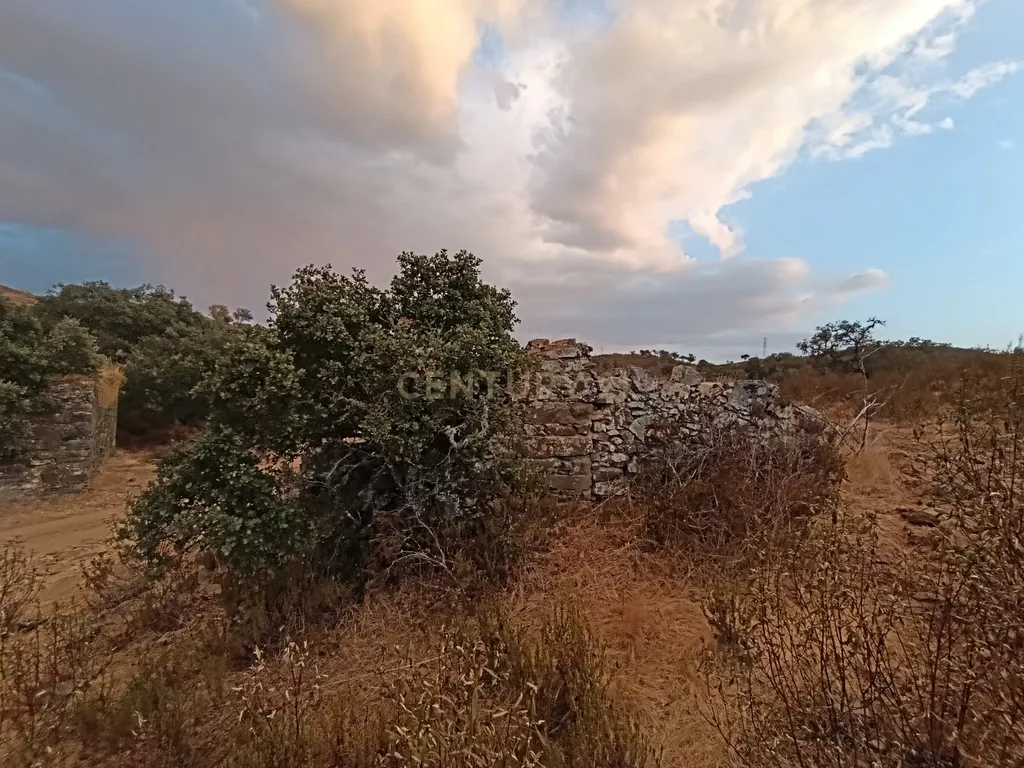 Terreno Misto, com 2 Ruínas, Moinho e Casa do Moleiro em Ribeira de Mira (Santa Clara-a-Nova). - Image 4