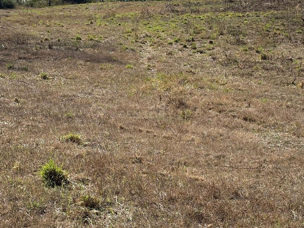 Terreno Urbano em Angeja, Albergaria a Velha - Image 3