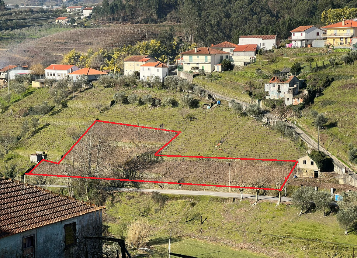 Douro Vinhateiro - Terreno com projeto arquitetura aprovado